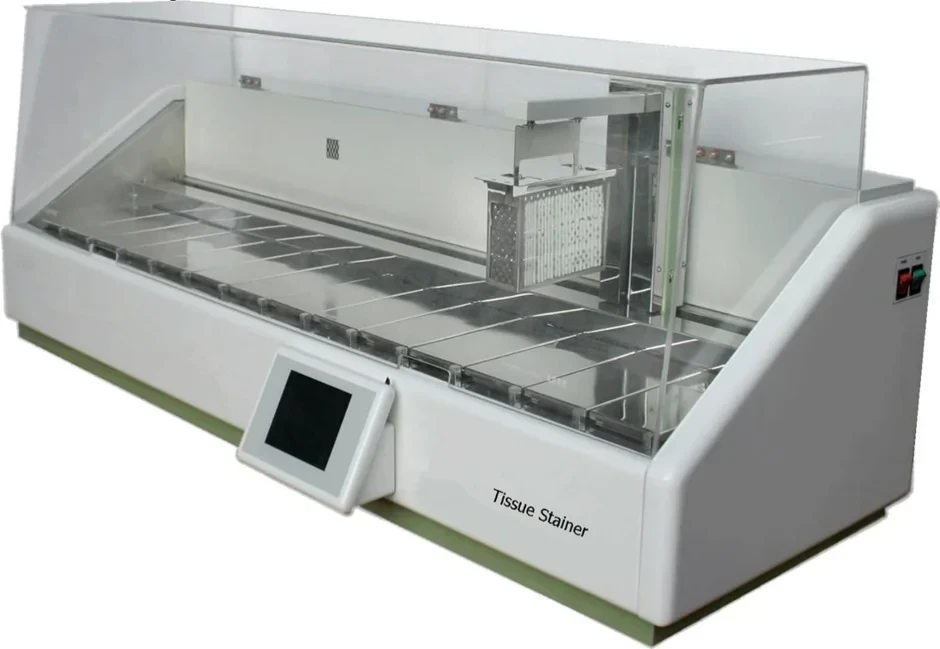 product/b31d7db0-6257-4bba-9609-cdc189dd168b.webp