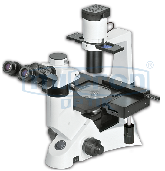 Buy the Inverted Microscopes from Micron Optik